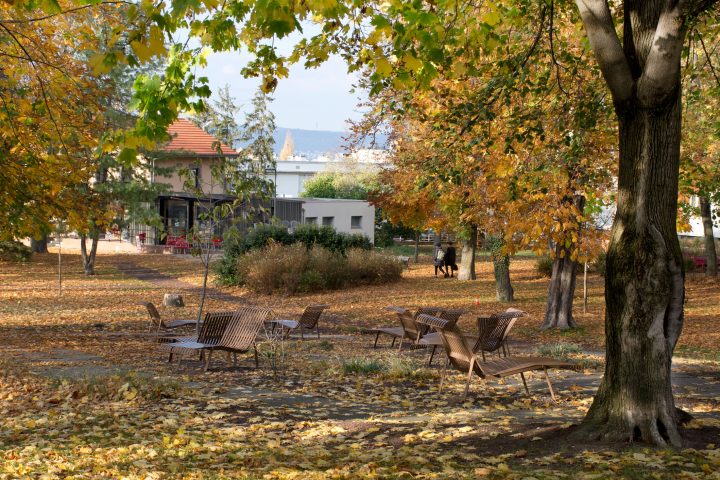 Le parc Bernard-de-Tocqueville à l'automne