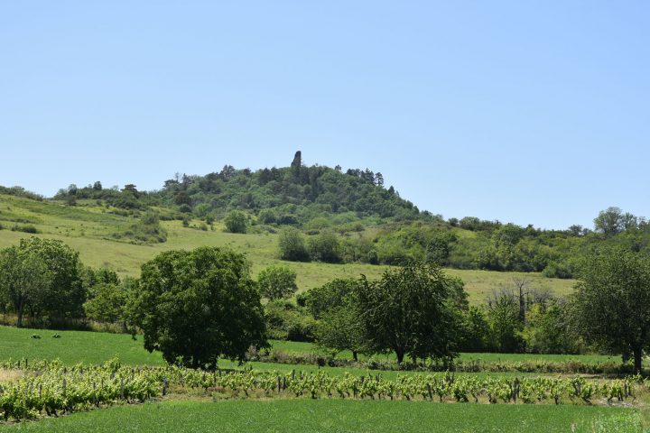 Le château de Montrognon et les vignes du puy de Chomontel