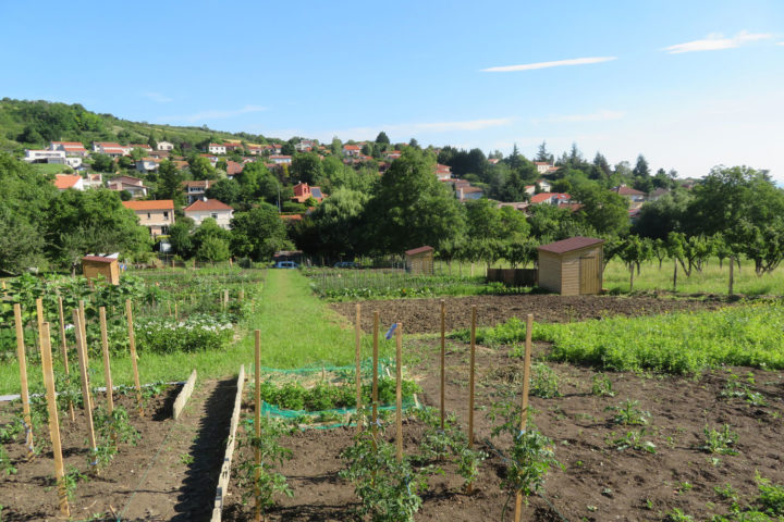 Les jardins familiaux de Romagnat