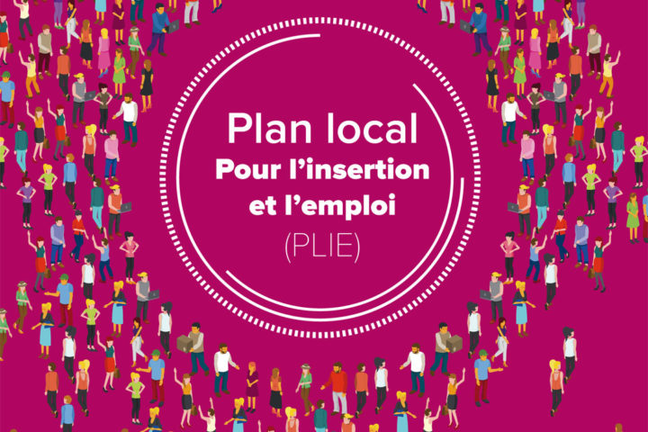 Logo du Plan Local pour l'Insertion et l'Emploi