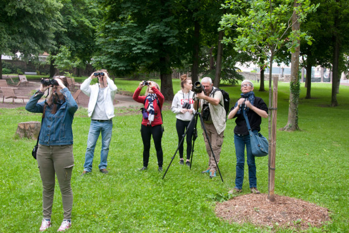 Le LPO organise des visites commentées pour découvrir les oiseaux du Parc