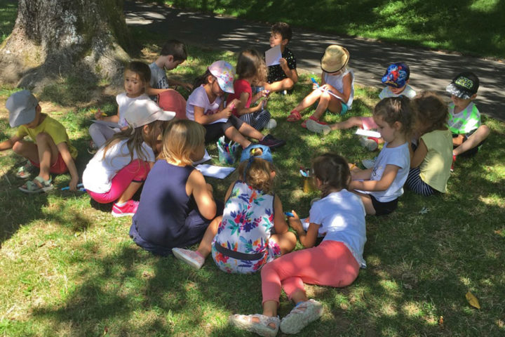 Activité à l'ombre des arbres