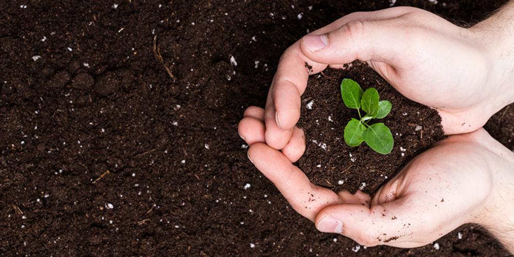 Distribution de compost dans les déchetteries