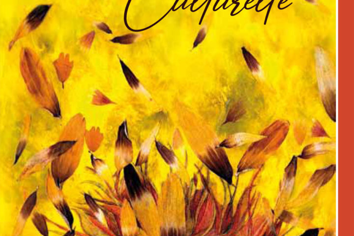 Programme saison culturelle Romagnat 2022-2023
