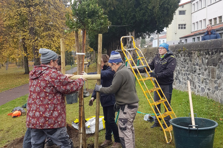 plantation-arbres-romagnat